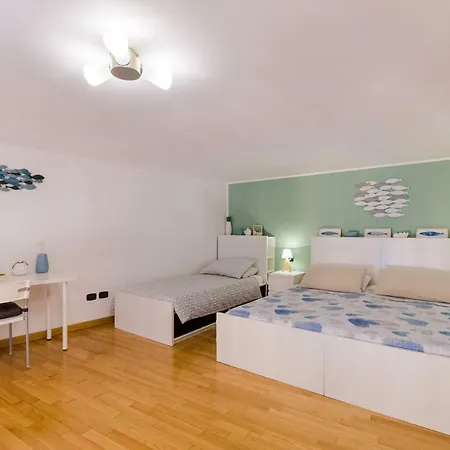 Modern House Apartament